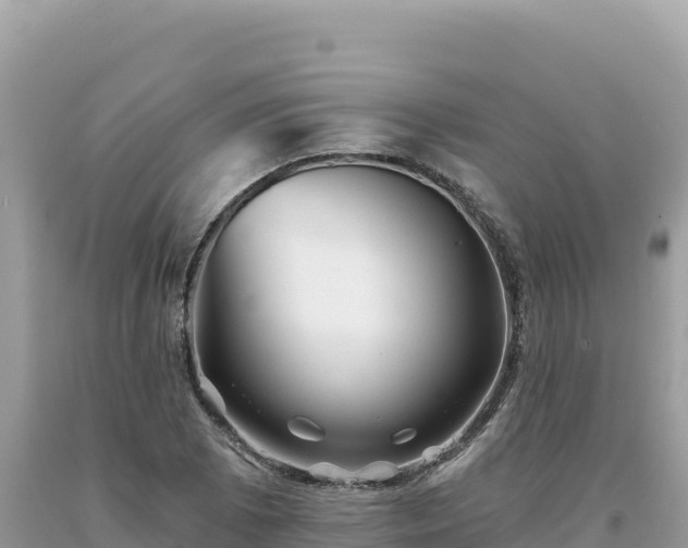 X0000093741073200710231207