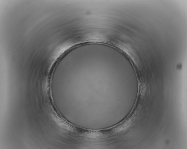 X0000093741074200710231207