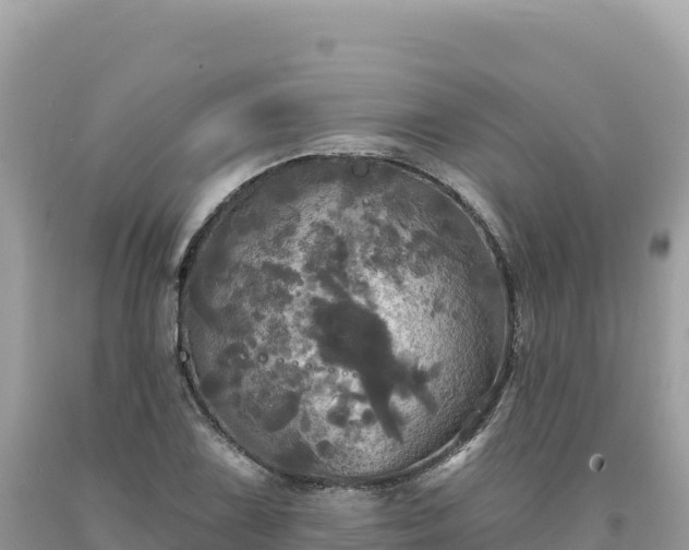 X0000093741075200710231207