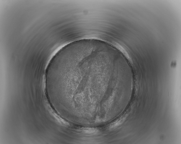 X0000093741076200710231207