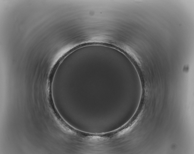 X0000093741077200710231207