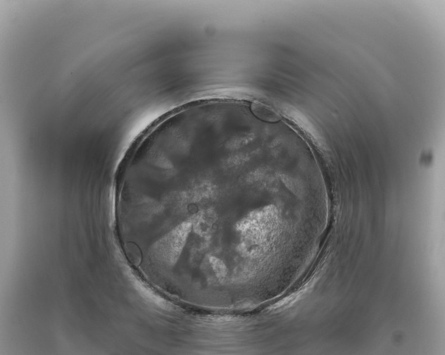 X0000093741079200710231207