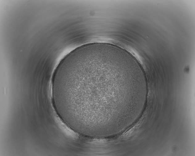 X0000093741080200710231207
