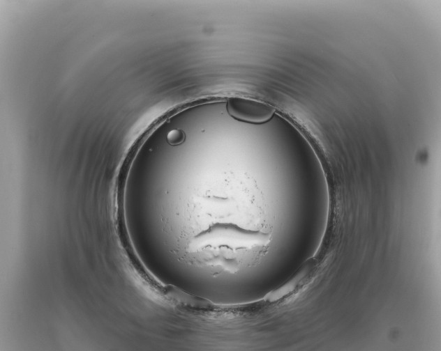 X0000093741082200710231206