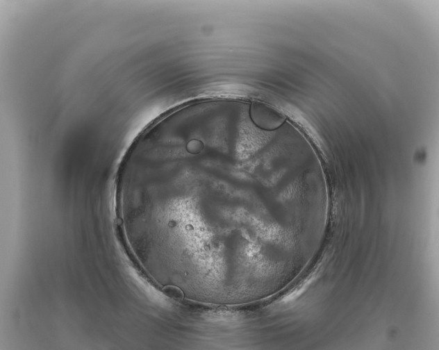 X0000093741083200710231206