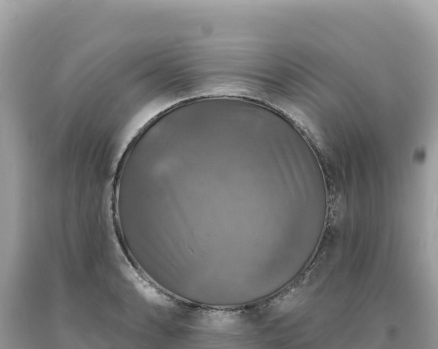X0000093741086200710231206