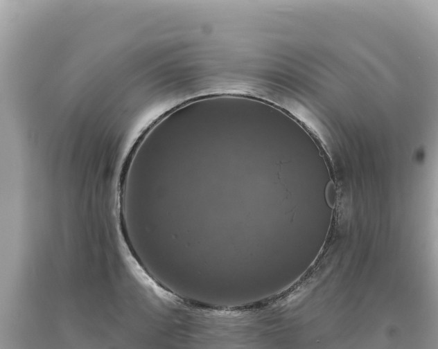 X0000093741088200710231206