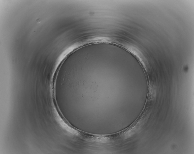 X0000093741090200710231206