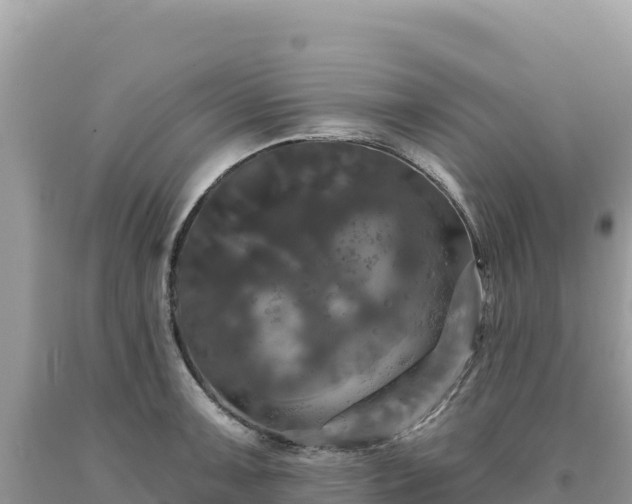X0000093741091200710231206