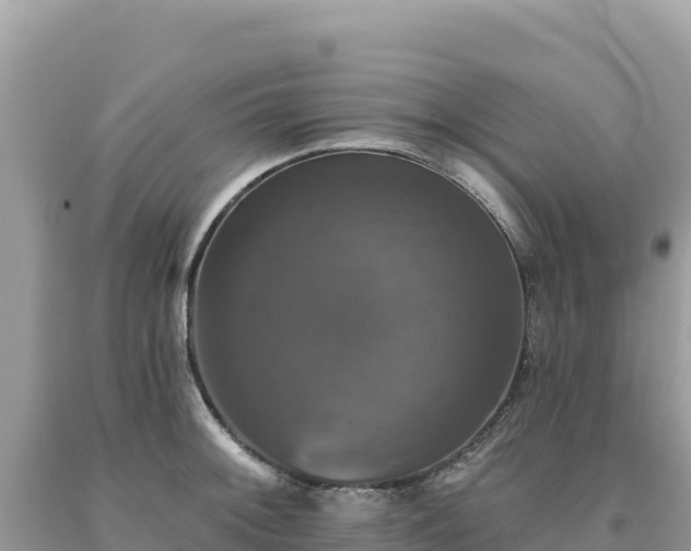 X0000093741092200710231206
