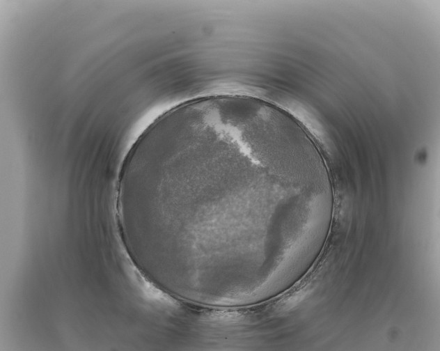 X0000093741094200710231206