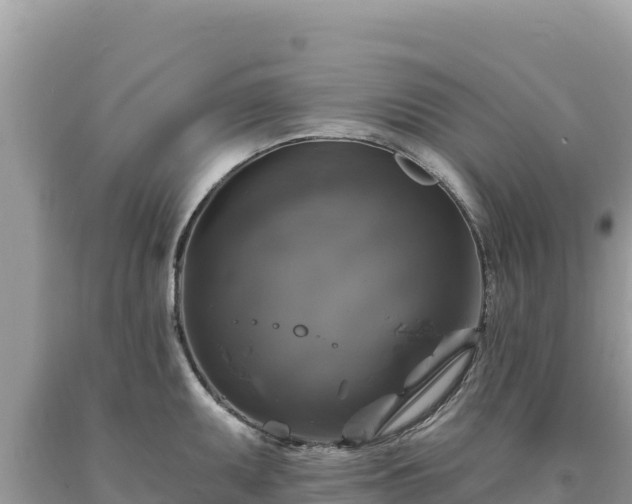 X0000093741095200710231206