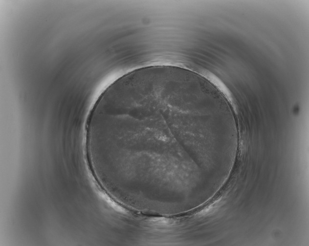X0000093741096200710231206