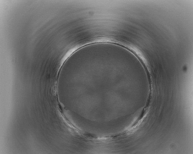 X0000093741097200710231206