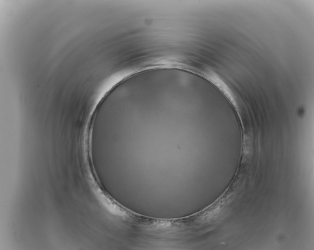 X0000093741098200710231206