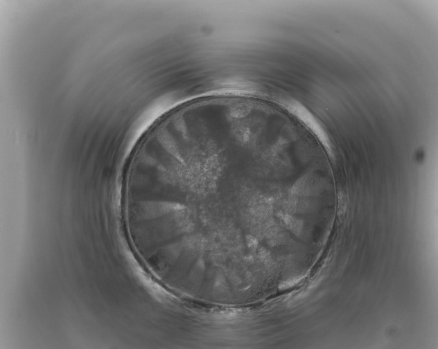 X0000093741099200710231206