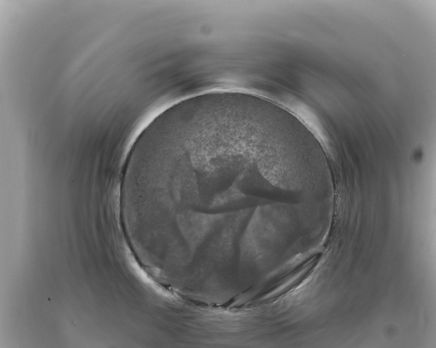 X0000093741100200710231206