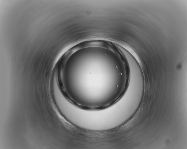 X0000093741101200710231206