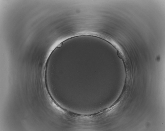 X0000093741102200710231206