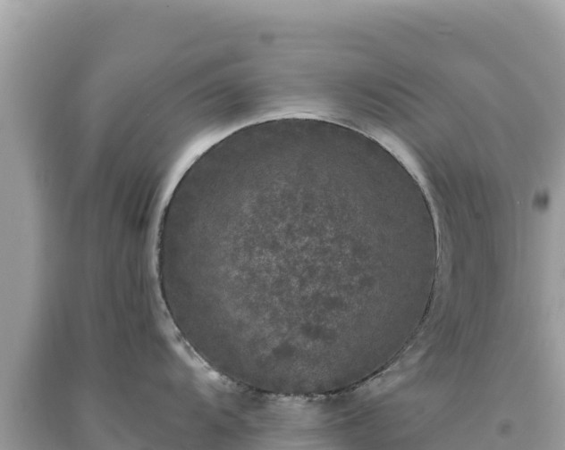 X0000093741104200710231206