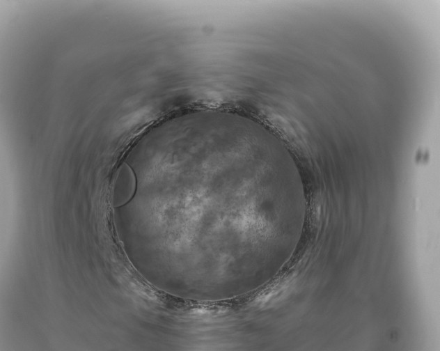 X0000093741105200710231206
