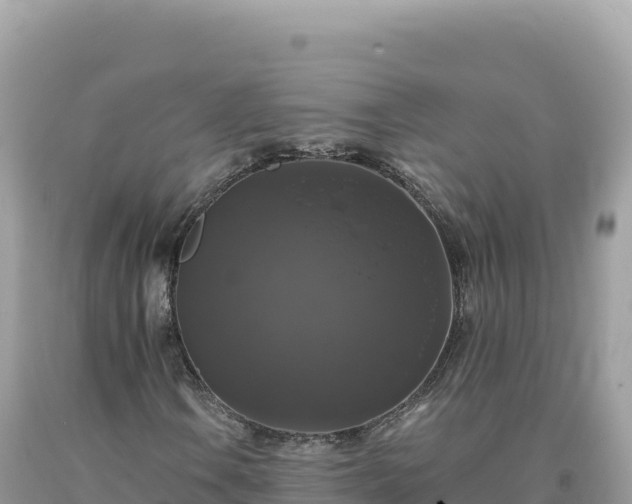 X0000093741106200710231206