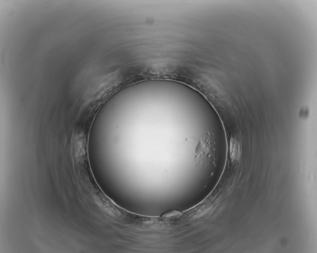 X0000093741107200710231206