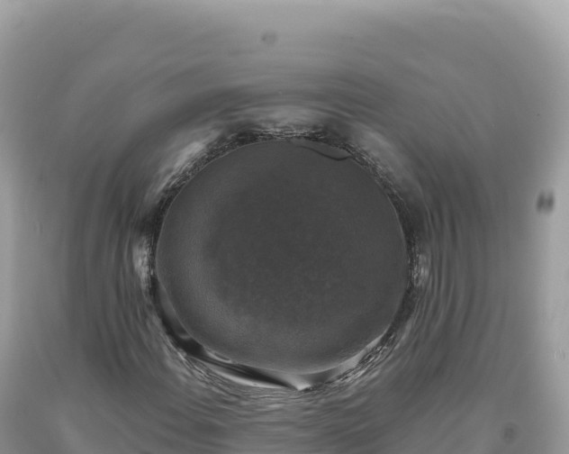 X0000093741108200710231206