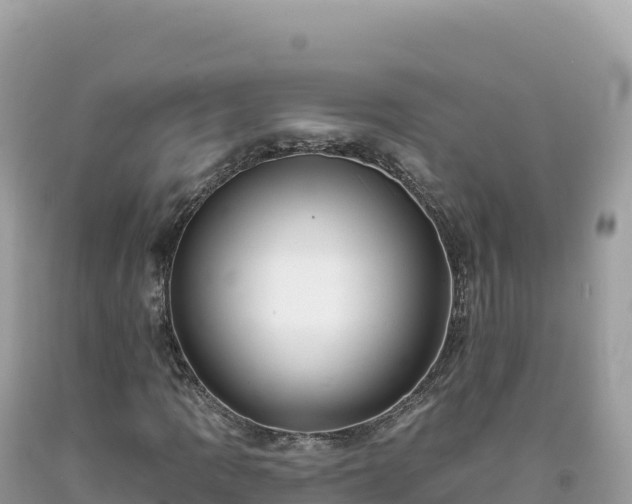 X0000093741109200710231206