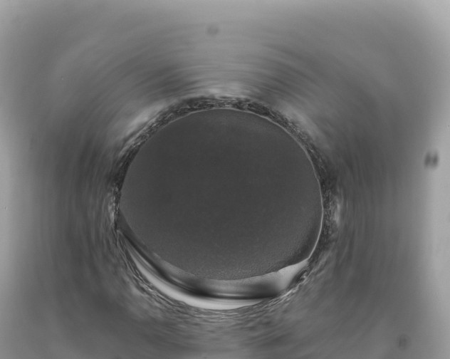 X0000093741110200710231206