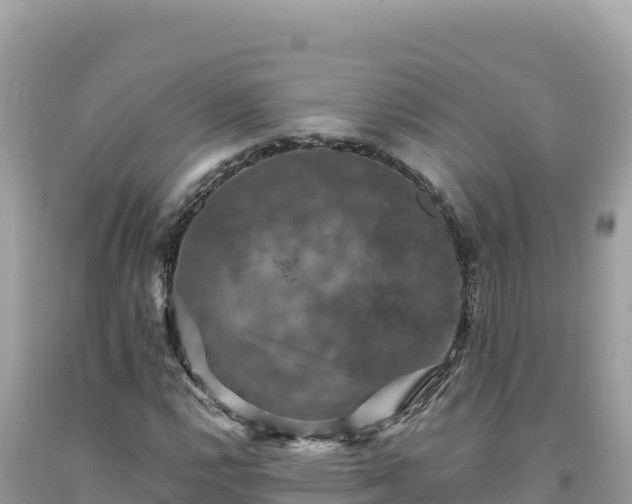 X0000093741112200710231206