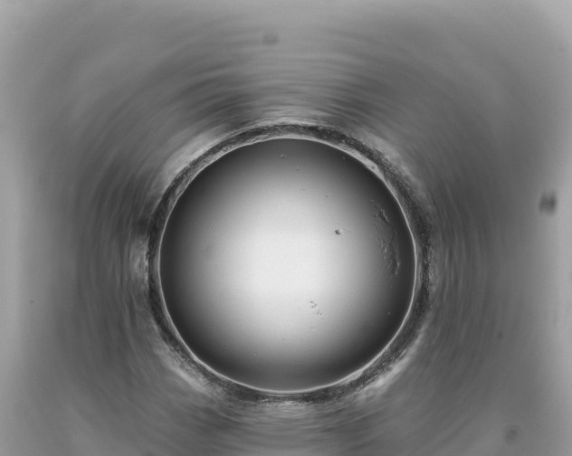 X0000093741113200710231206