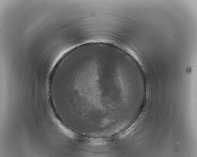 X0000093741116200710231206