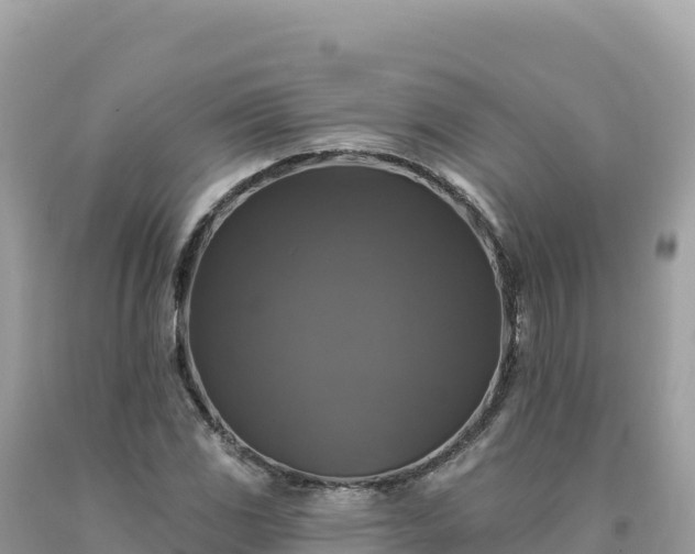 X0000093741117200710231206