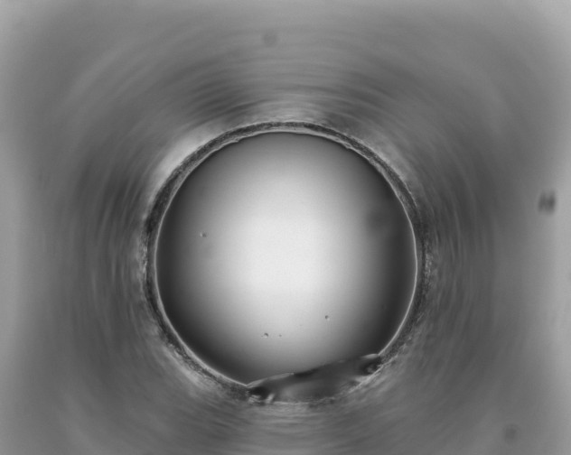 X0000093741119200710231206