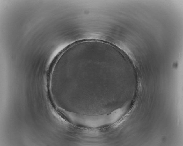 X0000093741120200710231206
