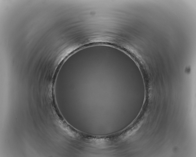 X0000093741121200710231206