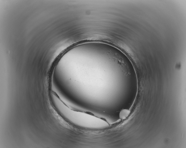 X0000093741122200710231206