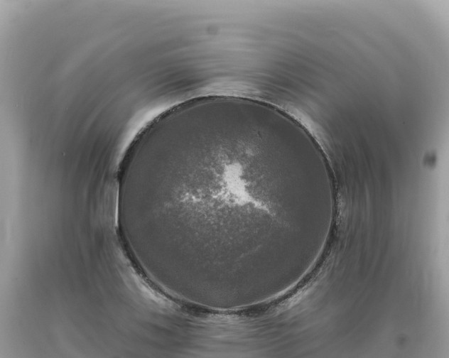 X0000093741123200710231206