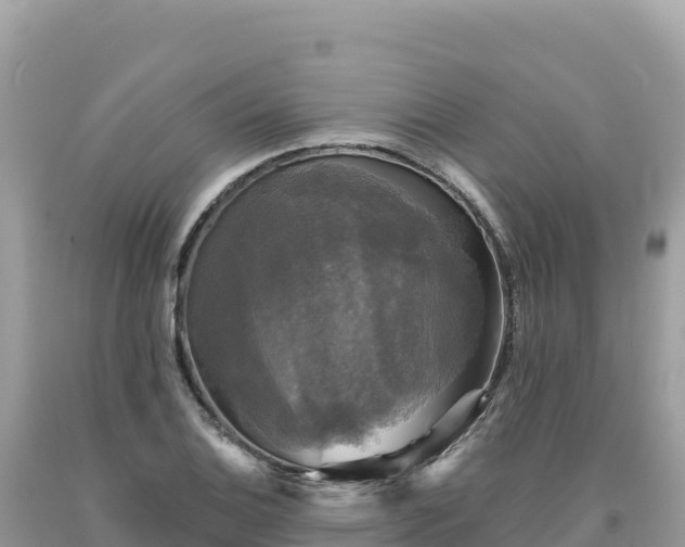X0000093741124200710231206