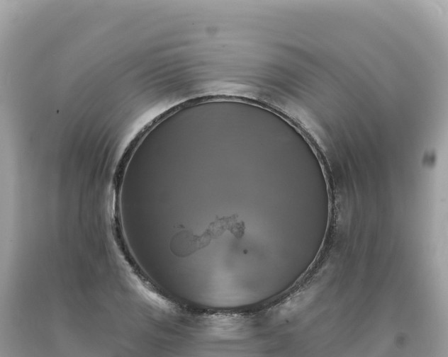 X0000093741125200710231206