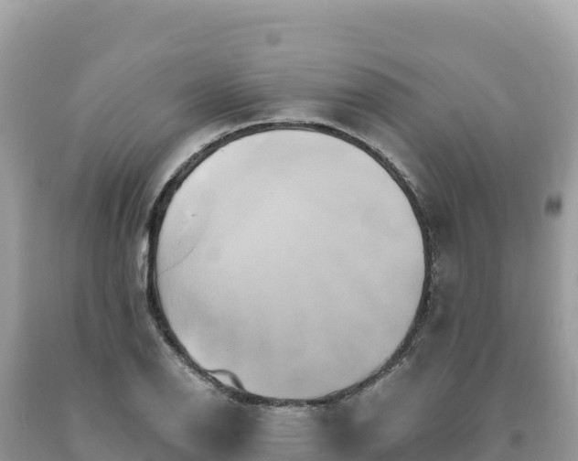 X0000093741126200710231206