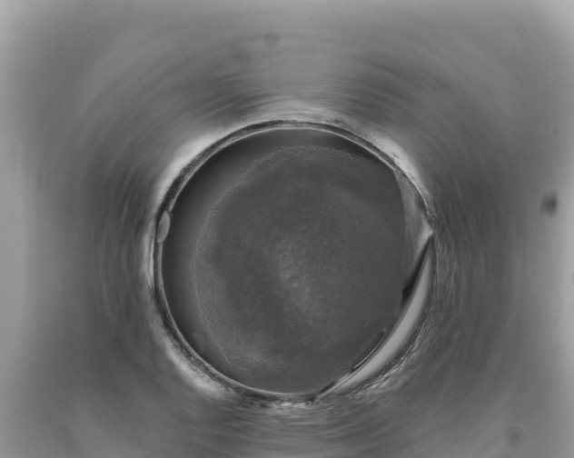 X0000093741128200710231206