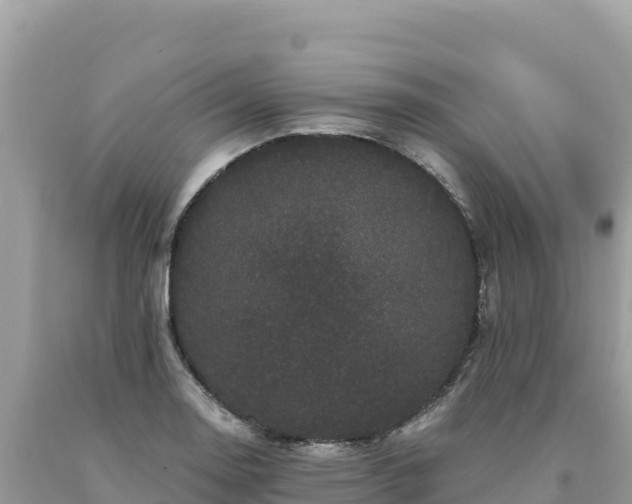 X0000093741130200710231206