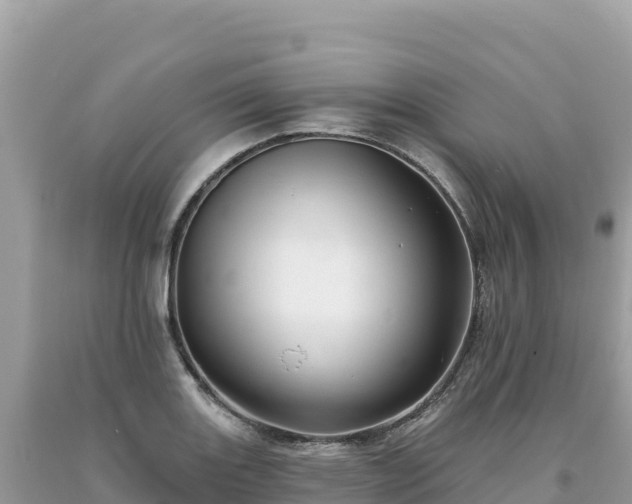 X0000093741131200710231206