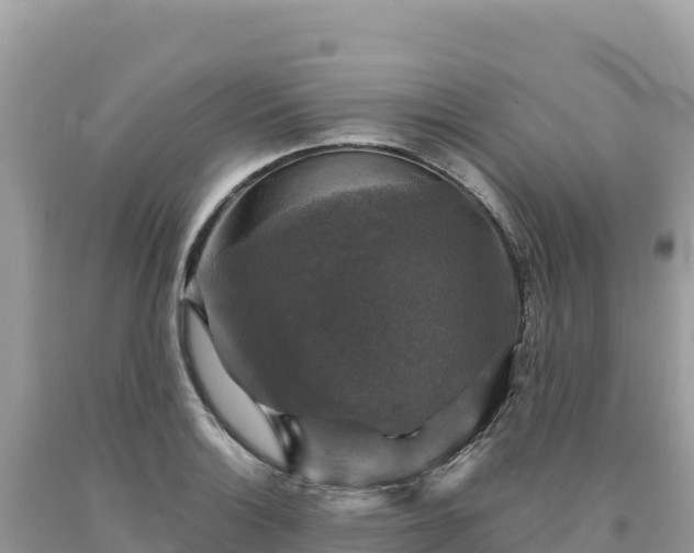 X0000093741132200710231206