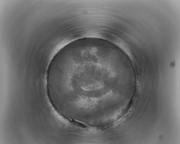 X0000093741133200710231206