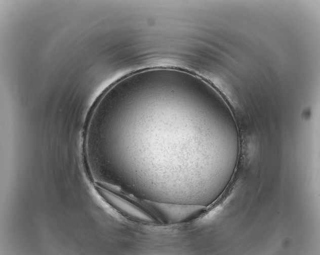 X0000093741134200710231206
