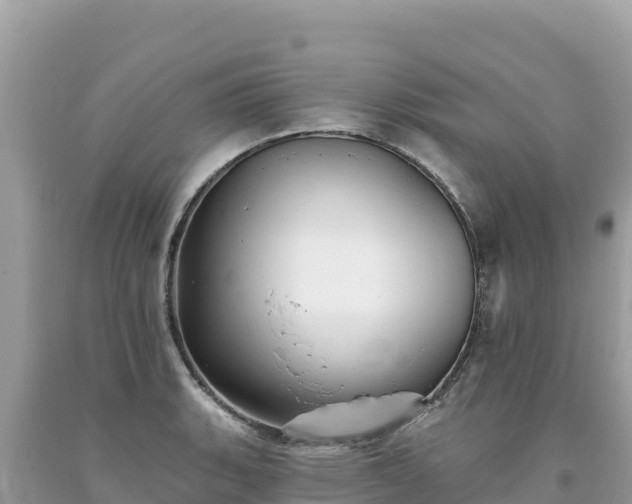 X0000093741135200710231206