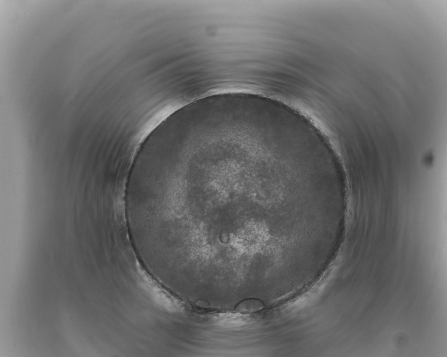 X0000093741137200710231206